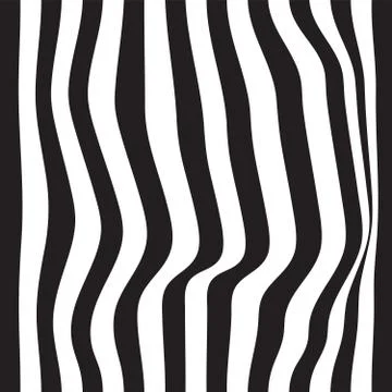 Striped seamless abstract background. black and white zebra print. Vector Stock Illustration