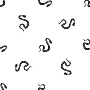 Striped snake pattern seamless black イラスト素材