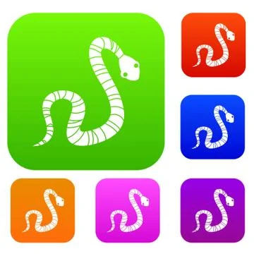 Striped snake set color collection Illustration