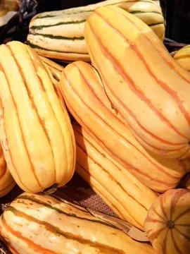 Striped squash  Stock Photos