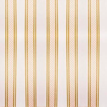 Striped template 스톡 사진