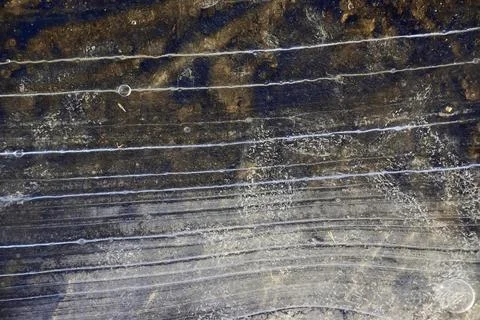 Striped texture of thin young ice Stock Photos