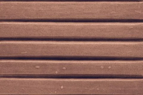 Striped texture of a tree Stock Photos