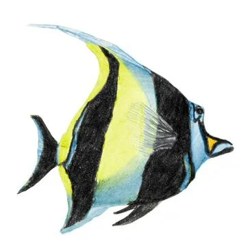 Striped Tropical Fish Illustrazione stock