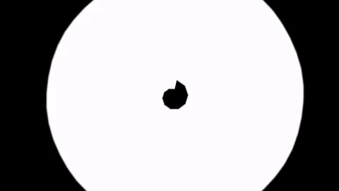 Striped wallpaper. Stock Footage 266705134