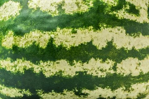 Striped watermelon background Stock Photos