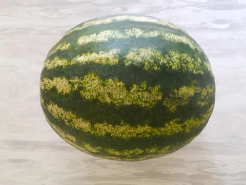 Striped Watermelon Isolated. Side view of a green and white watermelon. Stock Photos