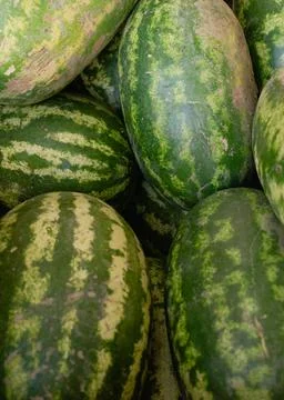 Striped watermelon texture Stock Photos