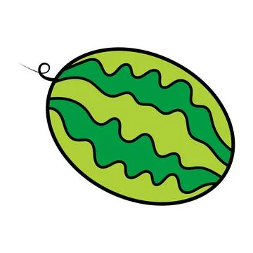 Striped Watermelon Vector Illustration Stock Illustration