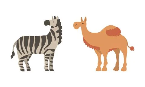 Striped Zebra and Camel as Wild African Animal Living in Savannah Vector Set Illustrazione stock