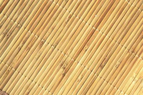 Stripes background Foto stock