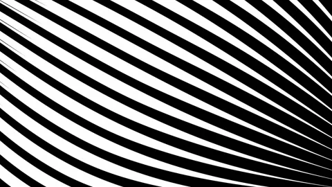 Stripes. Stock Footage 274295543