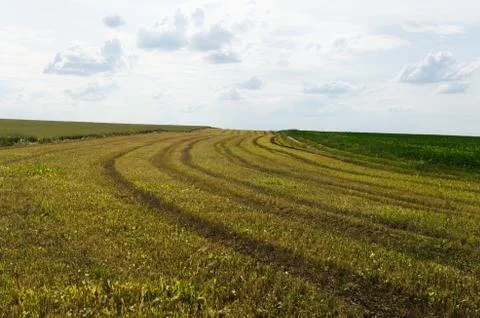 Stripes Stock Photos