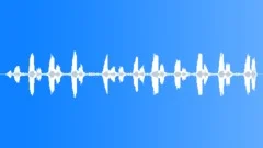 StripeThroated Jery MCU Song Sound Effect