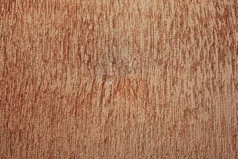 Stripped brown fabric texture Stock Photos