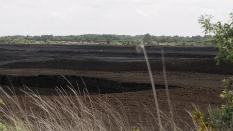 Stripped Peat Bog County Kildare Ireland Stock Footage 99030285