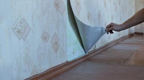 Stripping wallpaper off the wall Stock Photos