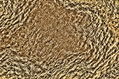 Stripy Zebra texture pattern.Abstract background. Stock Illustration