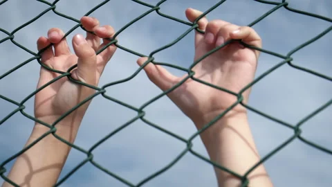 Strive for freedom. Stock Footage 231924563