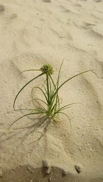 Striving to survive Stock Photos