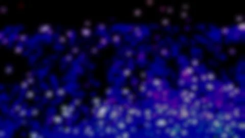 Strobe flash dots bokeh itchy Stock Footage 335957446