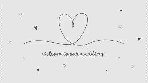 Stroke order text animation Stock Footage 311869067