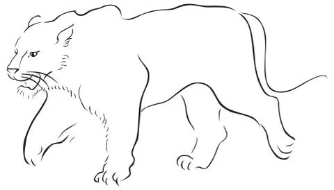 Stroke vector hand drawn illustration with tiger Stock Illustration