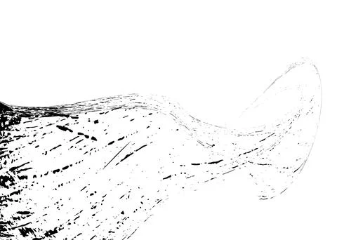 Strokes in different directions of black paint on a white background. Graff.. Stock Illustration