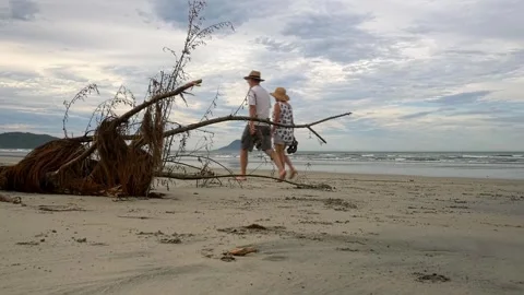 Stroll along Ohope Beach Stock Footage 328148791