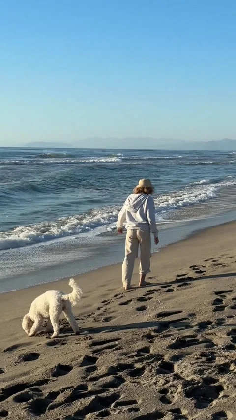 Stroll on the Beach with Dog at Sunset Vídeo Stock 332242497