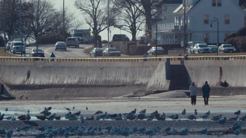 Stroll Down the Beach Stock-Footage 166000847