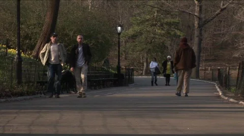 Stroll down Central Park path 库存影片 454230