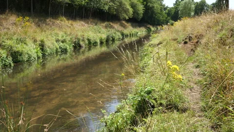 Stroll Down Path Next To Stream On Sunny Day 库存影片 136700228