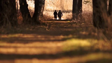 Stroll Stock Footage 36993759