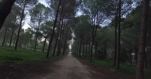 A stroll in the park, Point of view shot Stockbeeldmateriaal 63564068