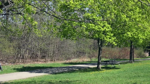 Stroll in the Park in the Springtime. Stock Footage 49881970