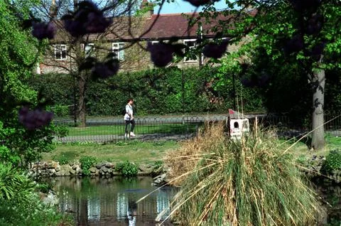 A Stroll Through Epping Forest For The Evening Standard 'homes And Property' Fea Foto stock
