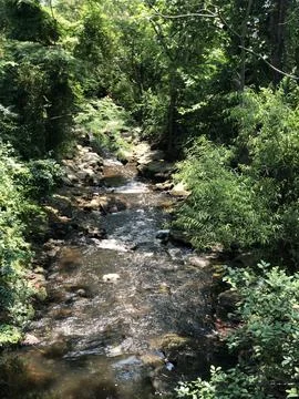 Stroll through Linear Park 库存照片