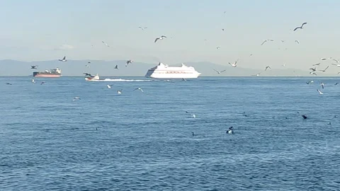 A stroll through the old streets of Istanbul with a view of the Bosphorus. Stock Footage 341078770