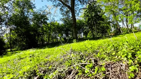 A Stroll Through a Picturesque Park Exploring Natures Beauty Stock Footage 278190588