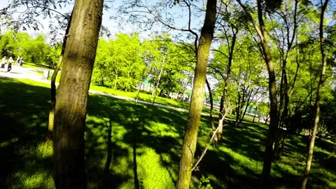 A Stroll Through a Picturesque Park Stock Footage 278322797