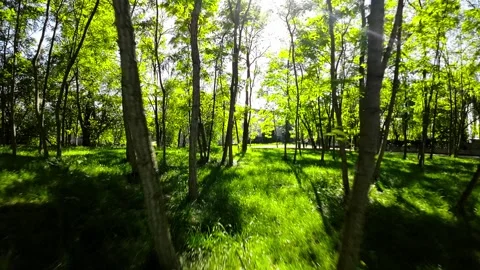 A Stroll Through a Picturesque Park Stock Footage 279902007