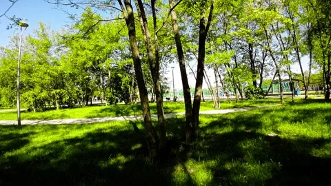 A Stroll Through a Picturesque Park Stock Footage 280132938