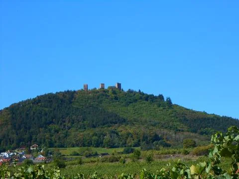 A stroll through the vineyards of Eguisheim Stock Photos