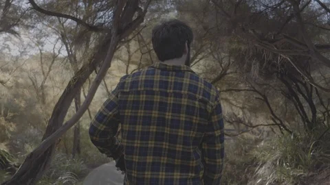 Stroll through the Woods 4k Video stock 124563521