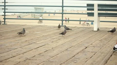Stroller on Pier Stock Footage 11445418
