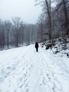 Stroller in a snow-covered forest Stock Photos