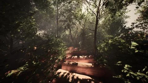 Strolling along a hazy path in the midst of the jungle Ilustração Stock