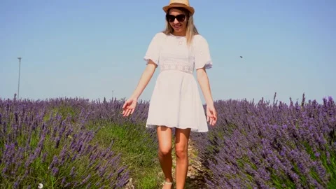 Strolling among the lavender flowers Stock Footage 134826781