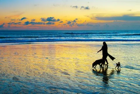 Strolling with the dogs Foto stock